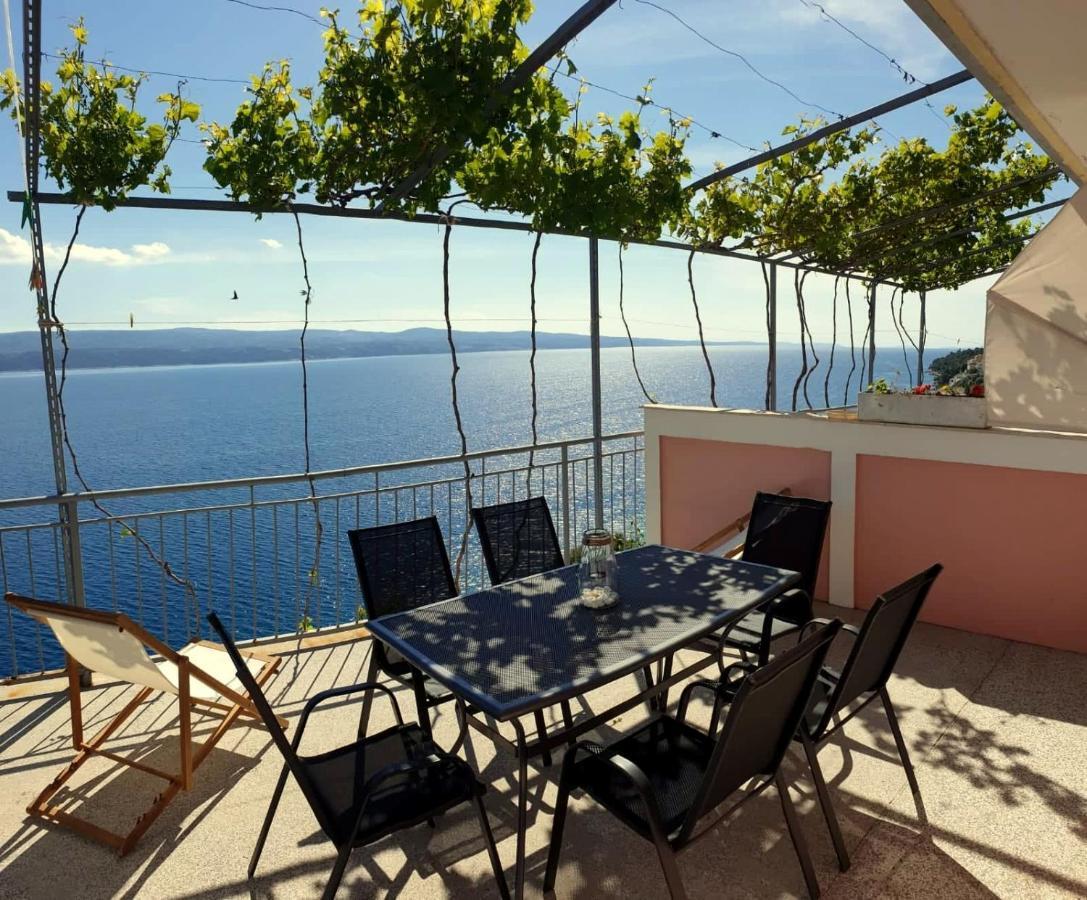 Kk Apartament Celina